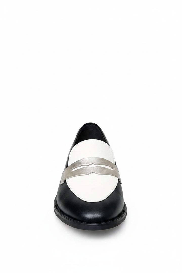Audrey | Women's Monochrome Pointed Toe Classic Loafers