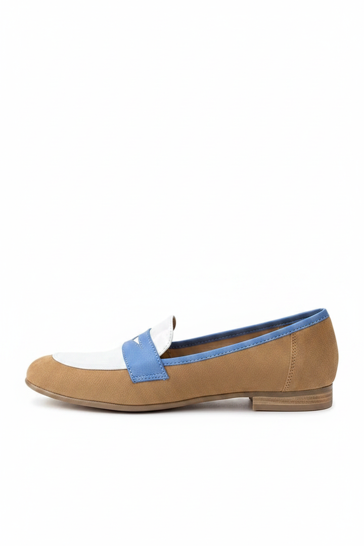 Delia | Women's Color Block Pointed Toe Loafers
