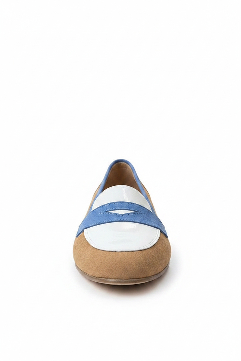 Delia | Women's Color Block Pointed Toe Loafers