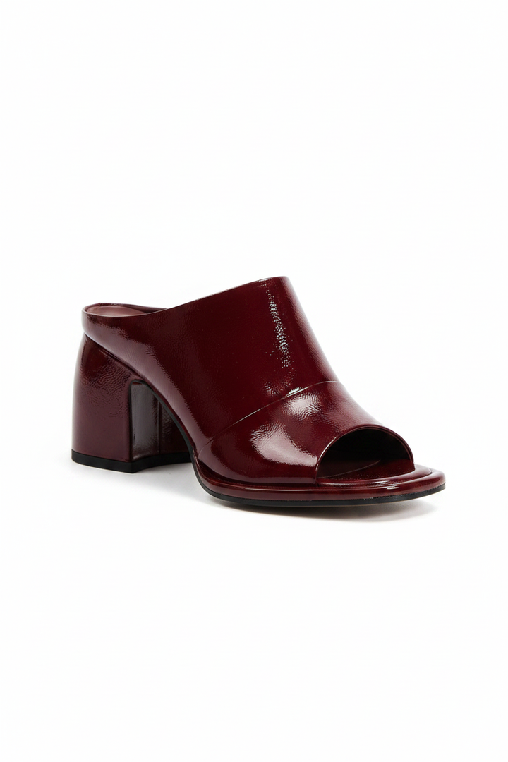 Kelly | Women's Ankle Strap Block Heel Pumps in Wine
